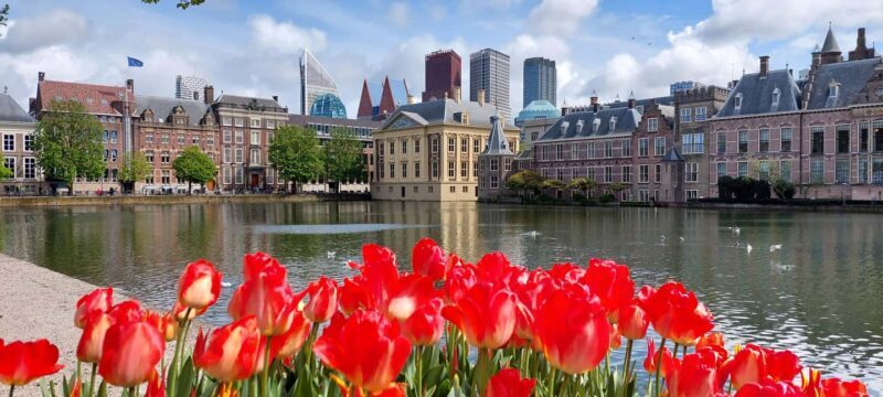 The Hague: History & Architecture Walk - The Experience: What You Can Expect