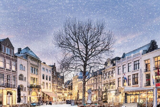 the-hague-in-1-day-walking-tour-audioguide-in-7-languages