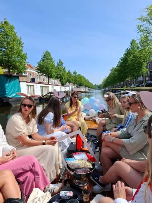 The Hague: individual tickets for an electric boattour! - Experience Overview