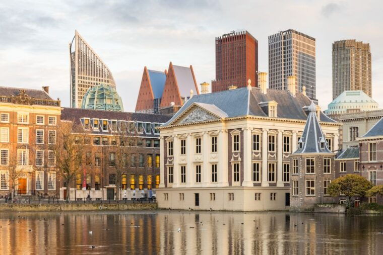 the-hague-mauritshuis-entrance-ticket