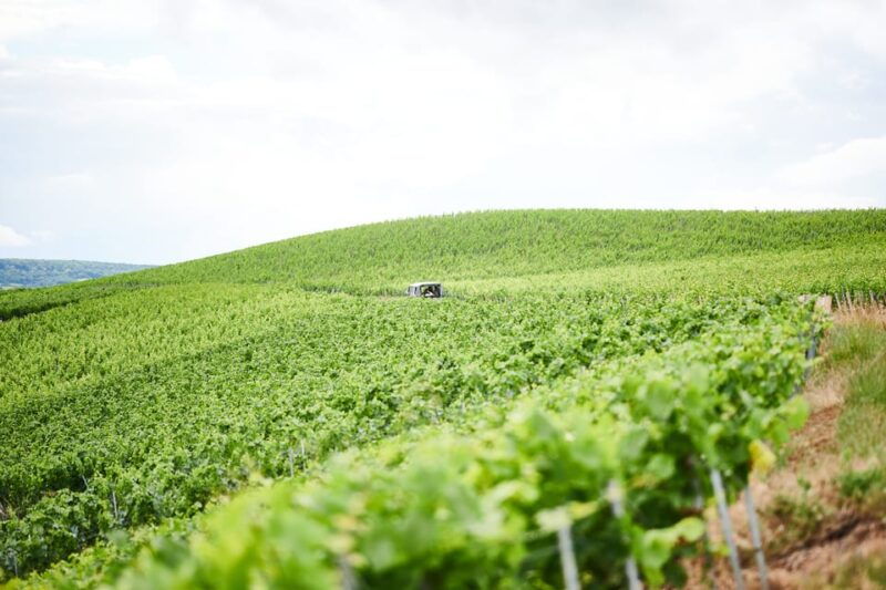 the-heart-of-the-champagne-region