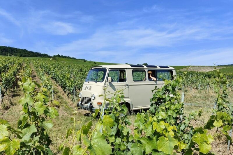 the-heart-of-the-champagne-region