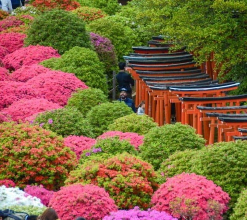 The hidden flavors of Yanaka: Tokyo's historic gourmet district - FAQs