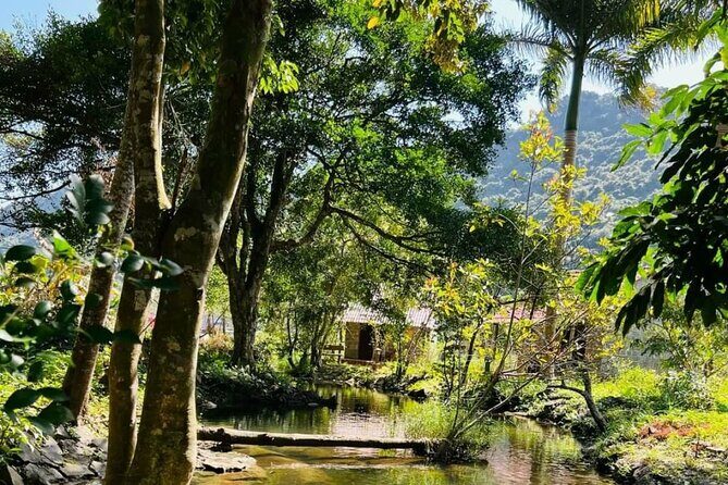 The Hidden Trails of Cat Ba - Starting with Nature: Cat Ba National Park