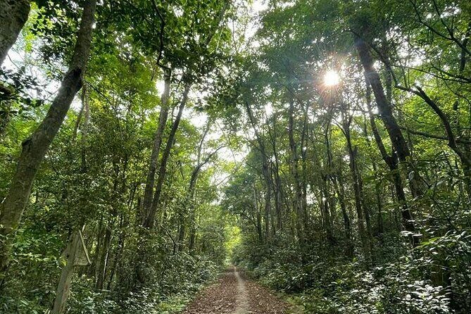 The Hidden Trails of Cat Ba - Optional Activities: Hiking or Cycling in Lan Ha Bay
