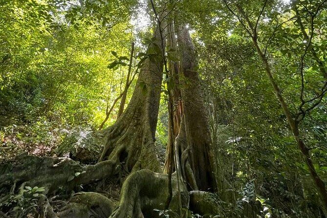 The Hidden Trails of Cat Ba - Wrapping Up and Return to Cat Ba