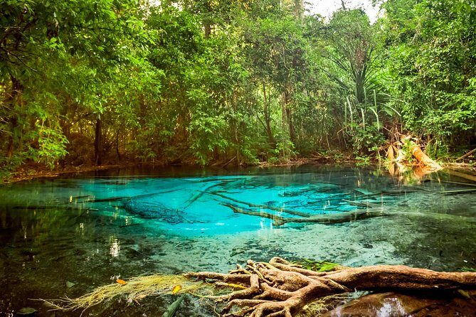 The Highlights Of Krabi - Who Is This Tour Best For?