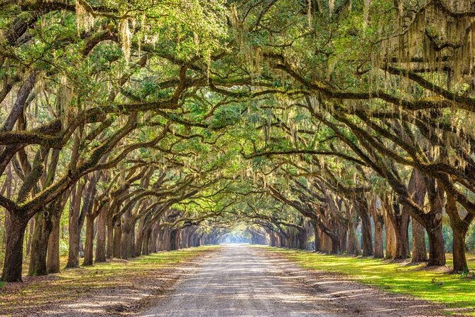 the-history-buff-savannah-walking-tour