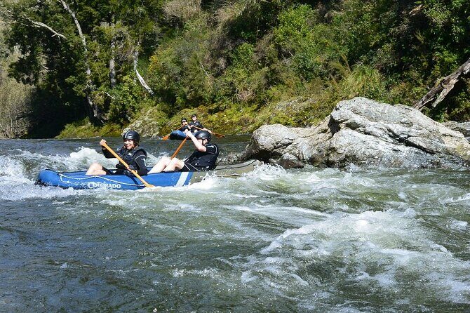 The Hobbit Barrel Run Rafting Tour on the Pelorus River - What Travelers Say: Authentic Insights