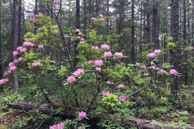 the-hood-columbia-loop-timberline-orchards-and-waterfalls