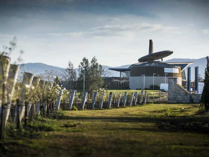 The Hunter Tasting - A Detailed Look at the Hunter Tasting Experience
