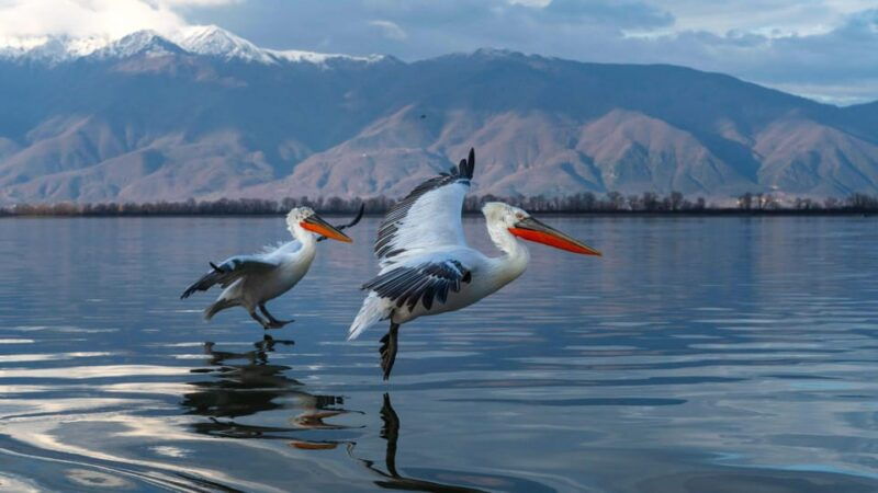 the-island-of-the-snakes-golem-grad