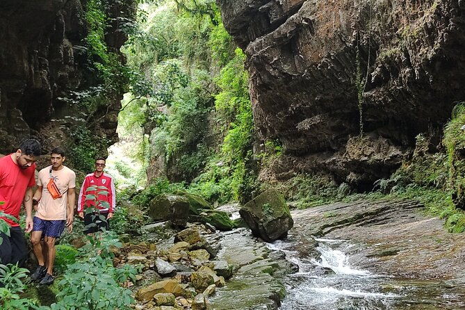 the-jaguar-fountain-immerse-yourself-in-the-jungle-of-jujuy