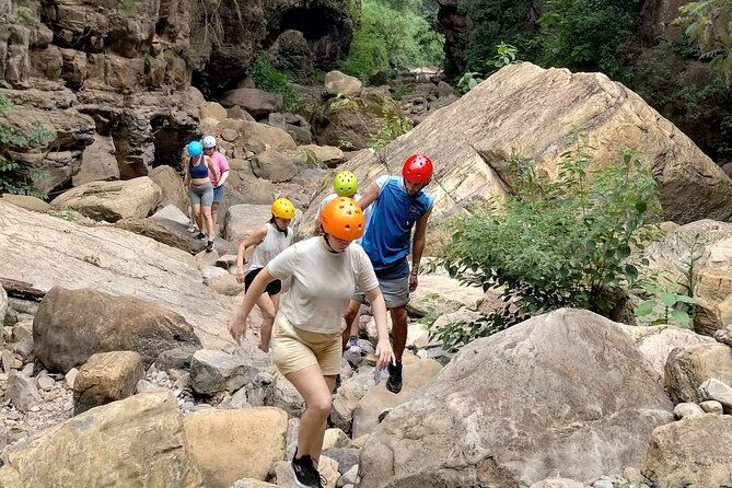 the-jaguar-fountain-immerse-yourself-in-the-jungle-of-jujuy