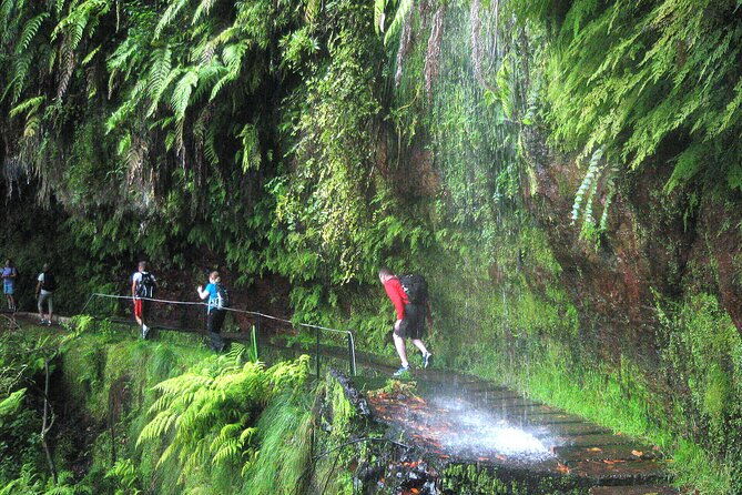 the-kings-levada-levada-do-rei