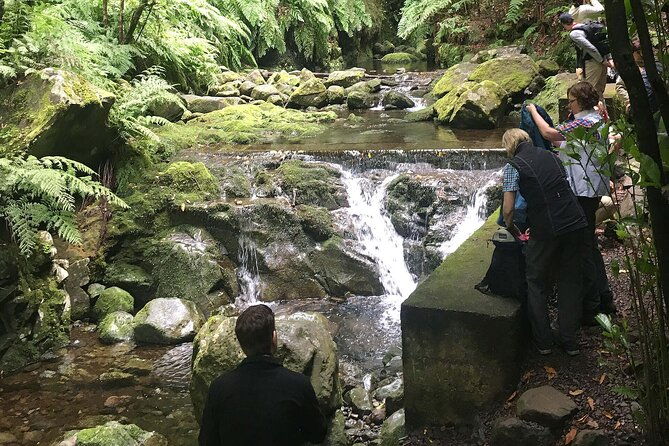 the-kings-levada-levada-do-rei