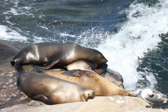 the-la-jolla-tour