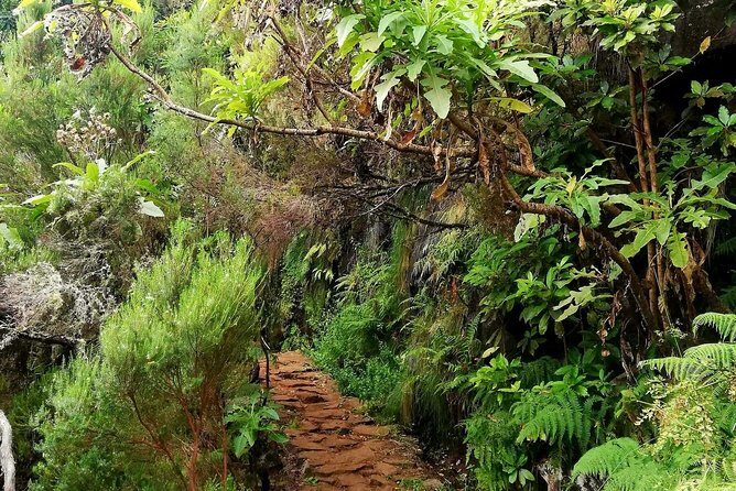 The Lakes Walk - What to Expect on the Lakes Walk