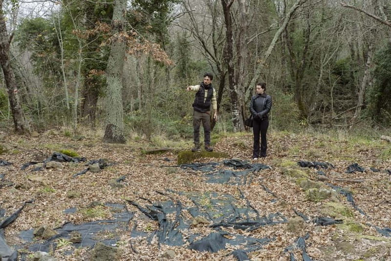 The Lamone Forest: among brigands and charcoal burners - Practical Details and What to Expect