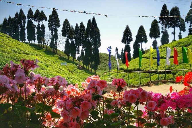 The Land Mark Tour (Nautical Day Darjeeling To Mirik crusade) - Final Thoughts