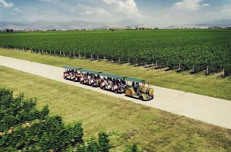 The largest winery in Montenegro: private tour & transport - The Itinerary in Detail