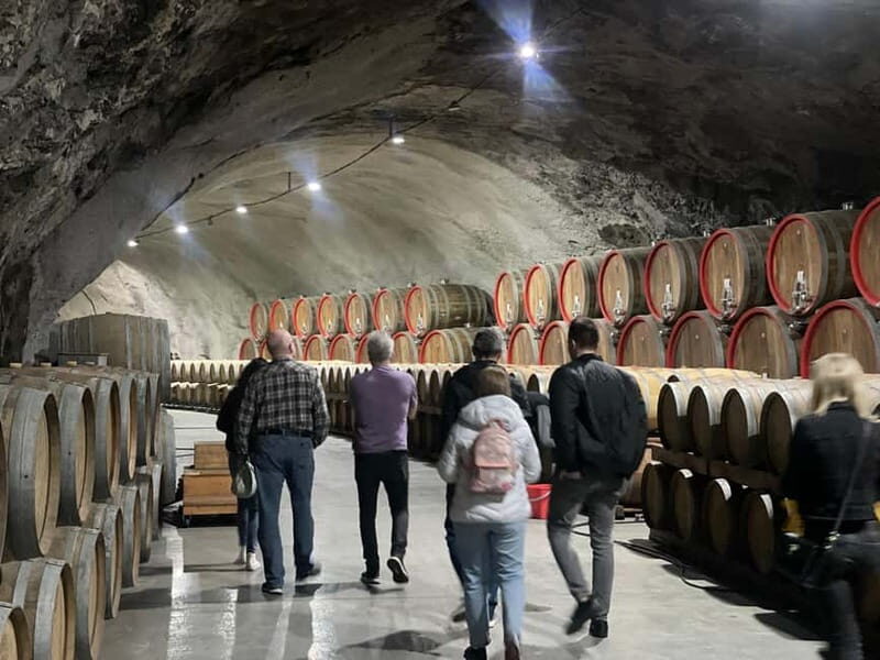 The largest winery in Montenegro: private tour & transport - What to Expect from the Experience