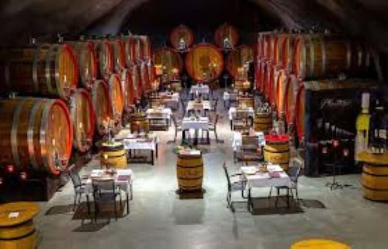 The largest winery in Montenegro: private tour & transport - The Sum Up