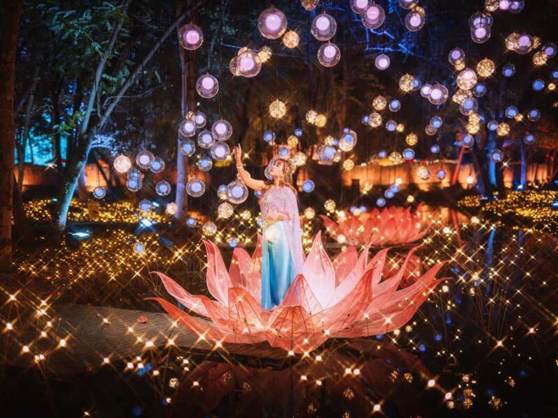 The Lens: Once-a-Year Moment at Na Satta Park Light Festival - Key Points