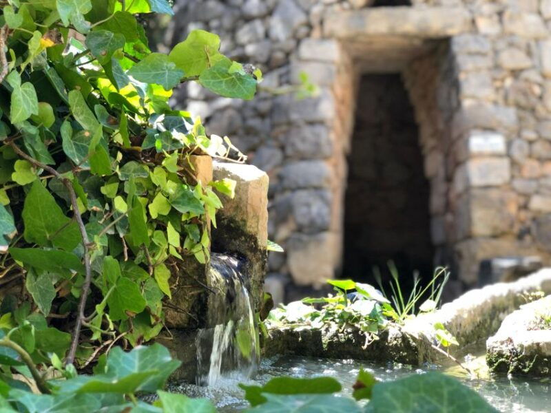 the-limestone-heritage-park-and-gardens-entry-ticket