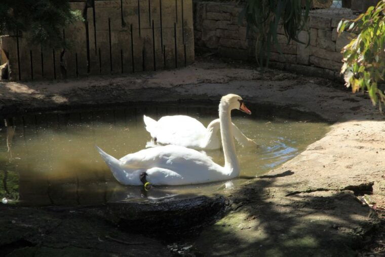 the-limestone-heritage-park-and-gardens-entry-ticket