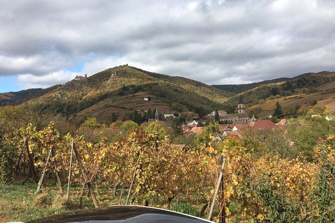 the-little-alsatian-luxury-tour-local-private-friendly-driver