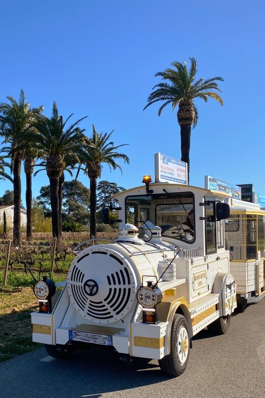 The Little Train of La Londe-les-Maures - Key Points