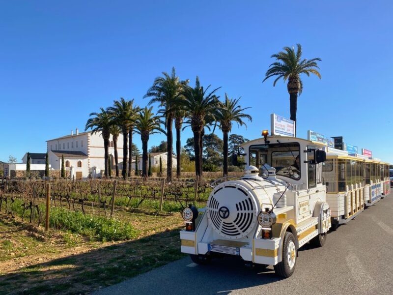 The Little Train of La Londe-les-Maures - What You Can Expect on the Tour