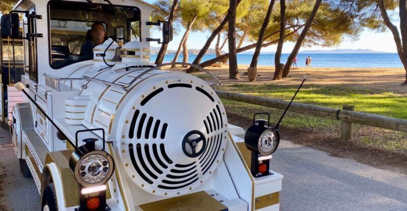 The Little Train of La Londe-les-Maures - Authentic Experiences & Practical Tips