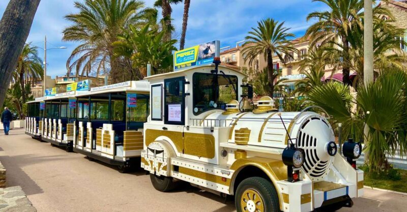 The Little Train of Lavandou's beaches - Key Points