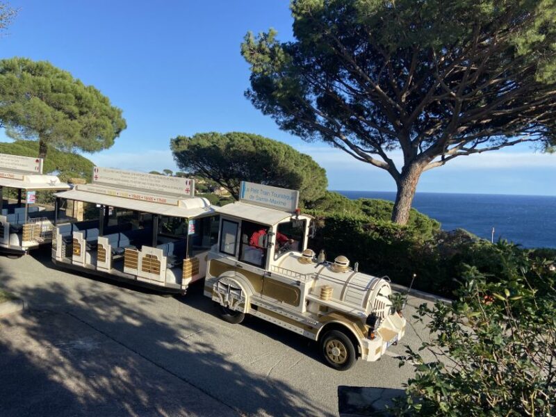 The Little Train of Sainte-Maxime - The Experience in Detail