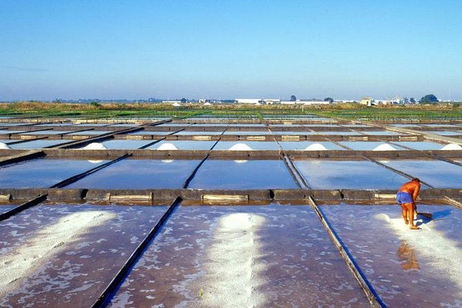 the-little-venice-of-portugal-aveiro-small-group-tour-with-typical-boat-ride-2