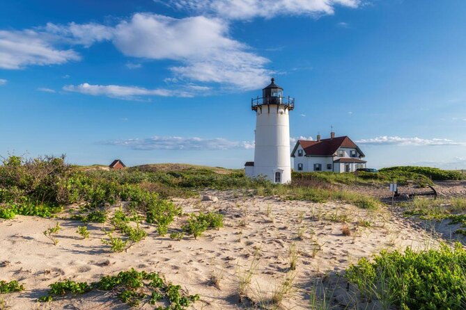 the-local-tasting-tour-provincetown-truro