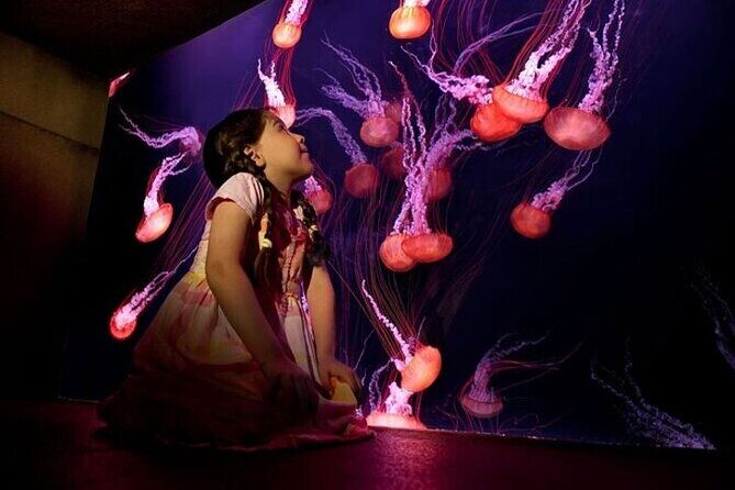 The Lost Chambers Aquarium - What to Expect at The Lost Chambers Aquarium