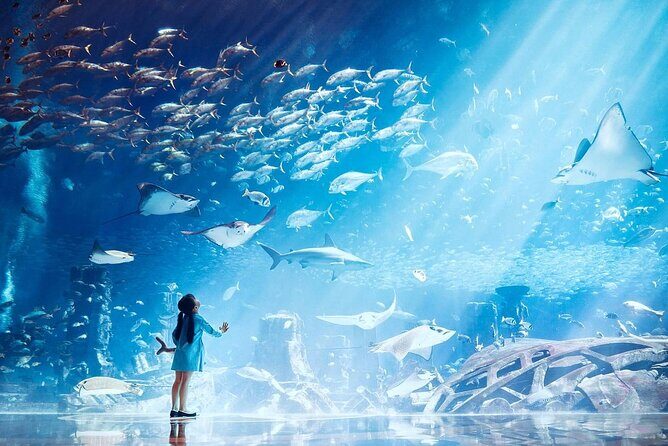 The Lost Chambers Aquarium - Authentic Visitor Insights
