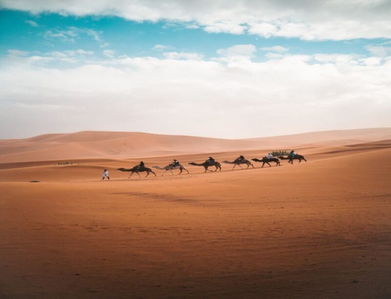 the luxury 2days 1night desert tour from fez to fez/marakech - Key Points
