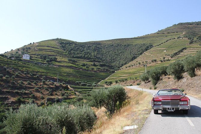 the-luxury-douro-tour