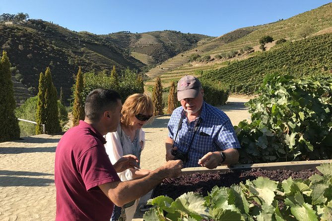 the-luxury-douro-tour