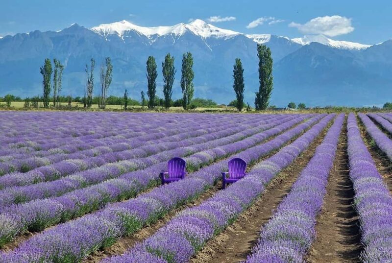 The Magic of Gabala: A Journey Through Nature and History - FAQ