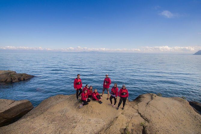 The Maori Carvings Half Day Kayak - Key Points
