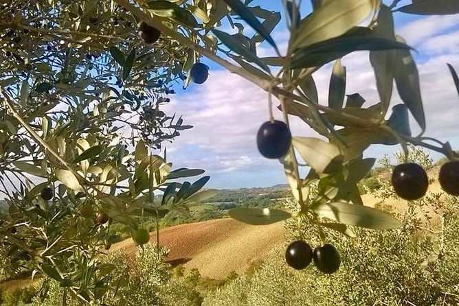 the-maremma