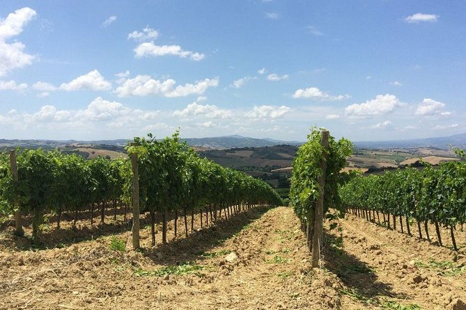 the-maremma