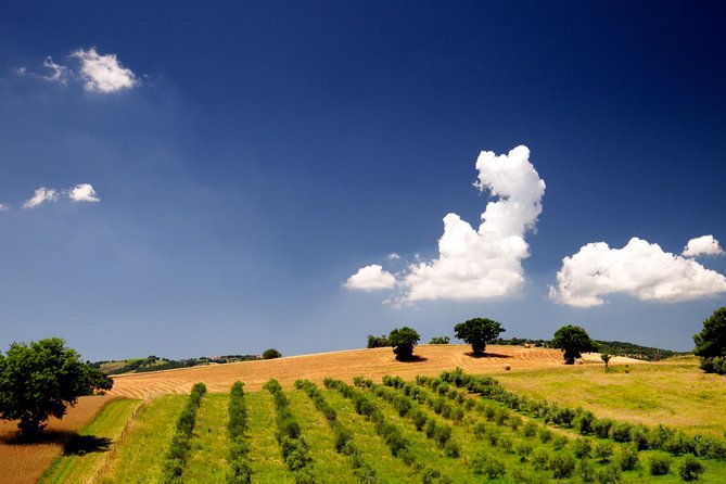 the-maremma