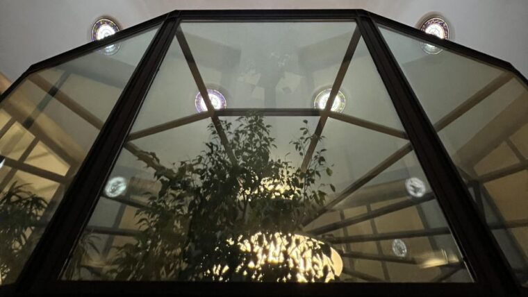 the-medici-dynasty-museum-and-wine-tasting