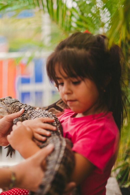 the-miami-sightseeing-day-pass-35-attractions